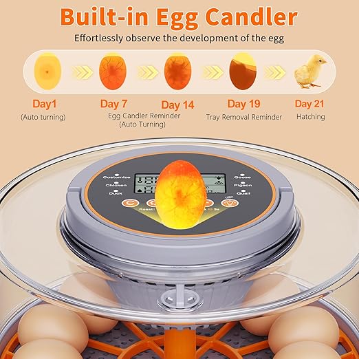 12 Egg Incubators for Hatching Eggs with Automatic Egg Turning & Humidity Control Intelligent Temp Eggs Candler for Chicken Quail Duck etc. Eggs, Suit for Beginner Backyard Hobbyist Students Education