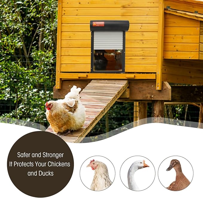 Automatic Chicken Coop Door, Solar Powered Timer Control with LED Display for Poultry Safety Duck Goose Farm, Metal Plastic Construction (Black)