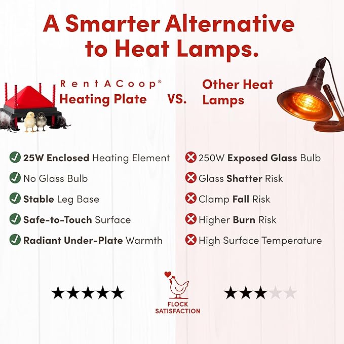 RentACoop 12x12” Adjustable Heating Plate with Hard Anti-Roost Cone Set and Removable Comfort Feathers - Chick Brooder Heat Plate Warms Up to 20 Chicks – Energy Efficient - Safer Than Heat Lamps