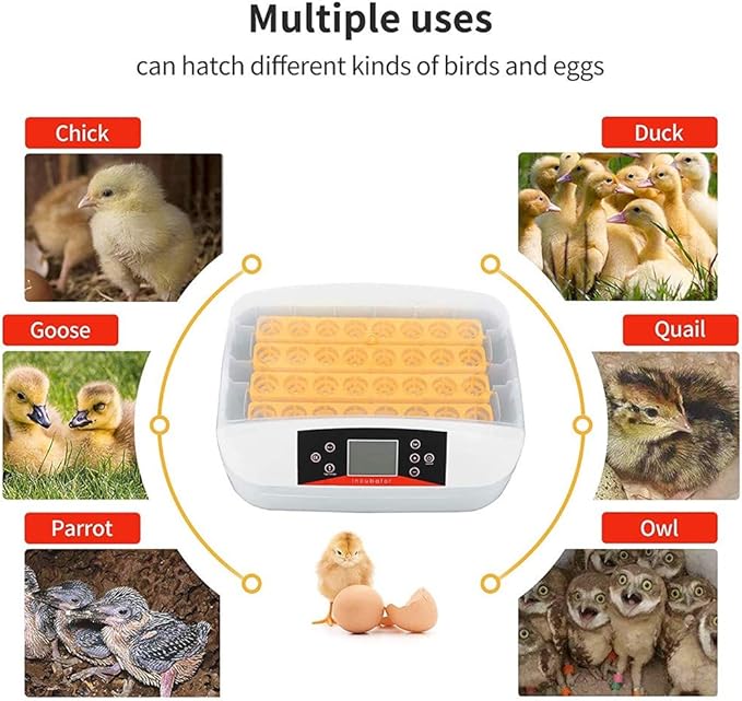Egg Incubator, 42 Egg Incubators for Hatching Eggs with Automatic Turner Digital Chicken Hatcher Turning Temperature and Humidity Control with Display