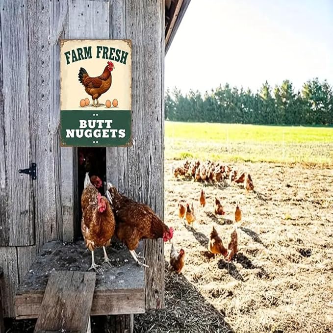 Chicken Coop Accessories Metal Signs -Chicken Coop Tin Signs Farm Fresh Butt Nuggest 8x12 Inch