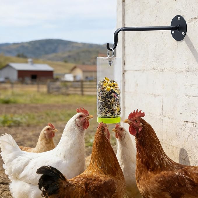 Chicken Toys for Coop, Transparent Plastic Swing Treat Dispenser with Wall-Mounted Metal Hook, Chicken Enrichment, Enrichment Toys for Hen, Duck, Goose and Other Poultry