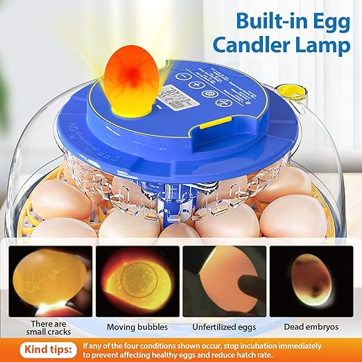 Incubators for Hatching Eggs, 18 Eggs Incubator with Automatic Egg Turning and Temperature & Humidity Control, 360° Full Viewing Eggs Candler for Hatching Chicken, Duck, Quail, Goose, Parrot