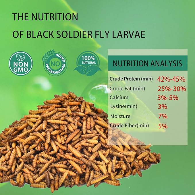 Dried Black Soldier Fly Larvae 10LB-Pure Natural Non-GMO BSF Larvae for Chickens-More Calcium Than Mealworms High-Protein Chickens Treats for Layer Hens Wild Birds Ducks