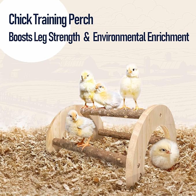 Chick Perch - Natural Wood Chick Roosting Bar for Brooder, Baby Chicken Supplies （1 Pack）