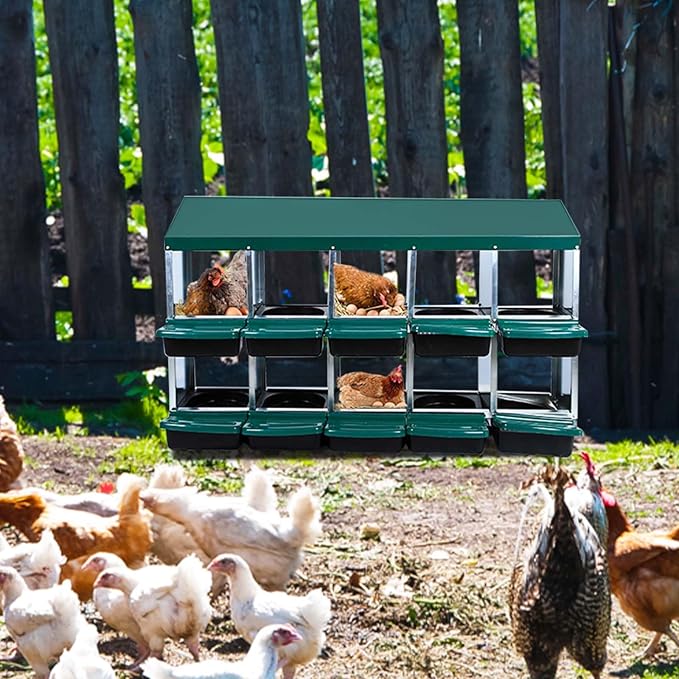 10-Compartment Roll-Away Metal Chicken Nesting Box – Durable Hen Laying Box with Lid and Pull-Out Roosts, Protective, Cleanable, Green, No Bracket Legs for Coops