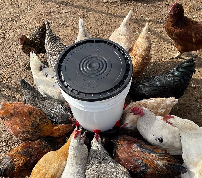 Incubator Warehouse Noble Nest 360° Poultry Waterer (5 Gallon, 8 Nipples, add on Water Stand Available)