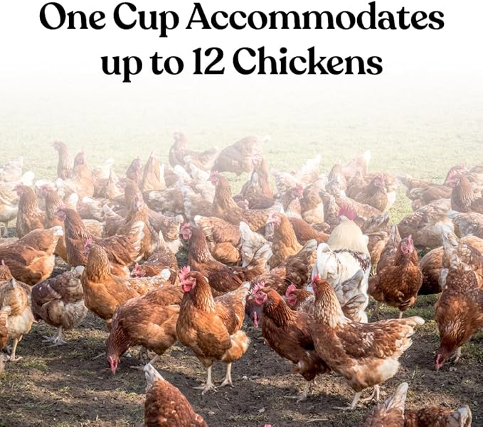 Harris Farms Chicken Water Cups, Gravity-Fed Poultry Drinkers for Up to 12 Chickens, Automatic Hydration for Hens, Easy-Install, Durable Farm Supply for Healthy Flocks and Clean Hydration, 6 Cups