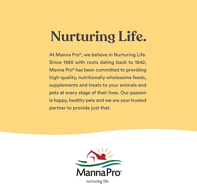 Manna Pro Crushed Oyster Shell for Laying Hens, High-Calcium Supplement to Support Strong Eggshells and Healthy Laying Chickens, Poultry Oyster Shell, 6-Pack of 5 lb Bags