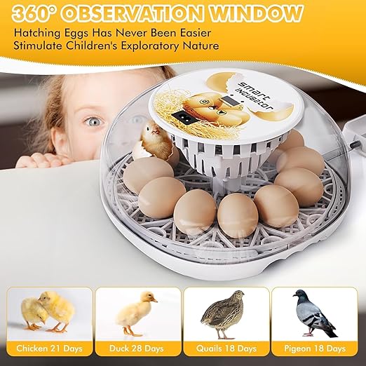 Egg incubators for Hatching Eggs, Automatic Egg Turning 12-24 Poultry Incubator with Temperature Control,Automatic Water Adding,℉ Display,360° View for Hatching Chickens, Duck,Quail,Goose Eggs (M12)