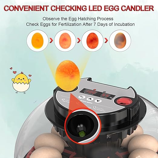 12 Egg Incubator with Auto Turner, Built-in Candler & Humidity Display, Suitable for Hatching Chicken Duck Quail Bird
