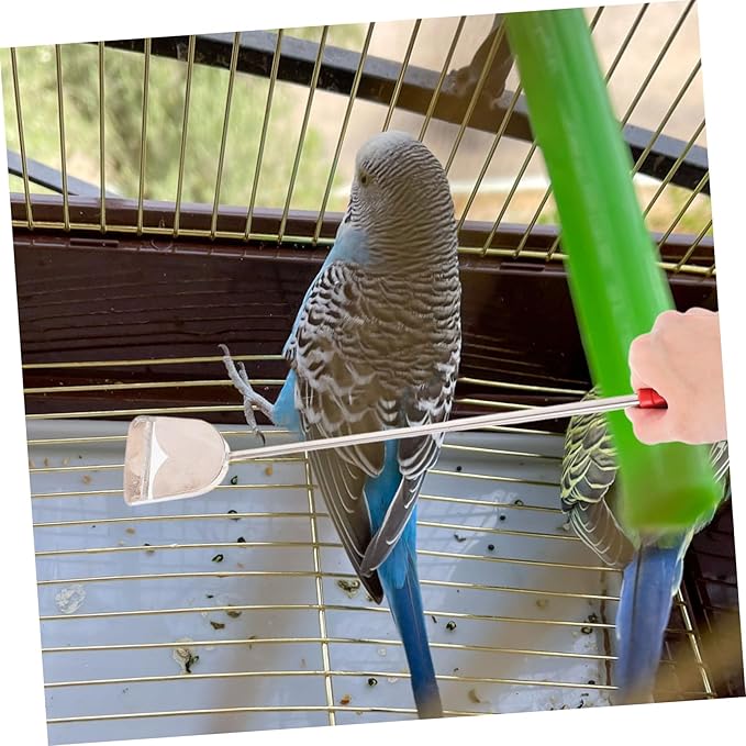 BESPORTBLE 2pcs Bird Cage Cleaning Brush Set Pet Bird Cage Cleaning Tools Brush Shovel for Stain Droppings Removal