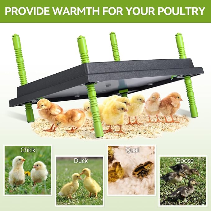 Chick Brooder Heater Plate, 12"x16" Warmer Brooder Plate for Chicks with Adjustable Height & Temperature Display, 30W Temperature Control Brooder Heating Plate for 40 Baby Chicks Duck