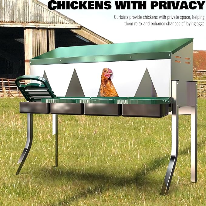 Chicken Nesting Boxes for Laying Eggs - 4 Compartment Roll Away Nesting Box for Chickens Coop with Adjustable Legs,Chicken Perch ＆ Roll Out Egg Tray,Curtains and 4 Fake Eggs Help Hen for Laying Eggs