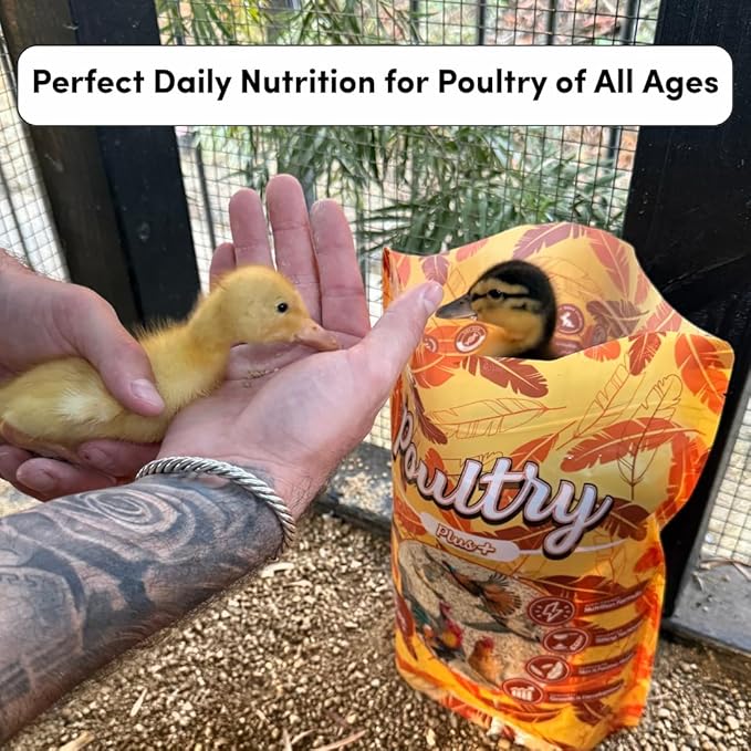 Mycelium Poultry Plus Feed (5 LB Bag) | Organic Poultry Food for Chickens, Ducks & Game Birds | Supports Growth, Feather Health & Energy | High-Protein, Omega-Rich Scratch Mix | USA Made, Non-GMO
