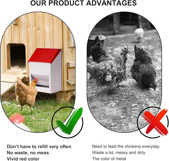 Automatic Metal Chicken Feeder Galvanized Poultry Feeder with Lid Outdoor Wall Mount Chicken Food Dispenser Gravity Fed Chicken Feeder Weatherproof No Waste Quail Duck Feeder (10LBS)