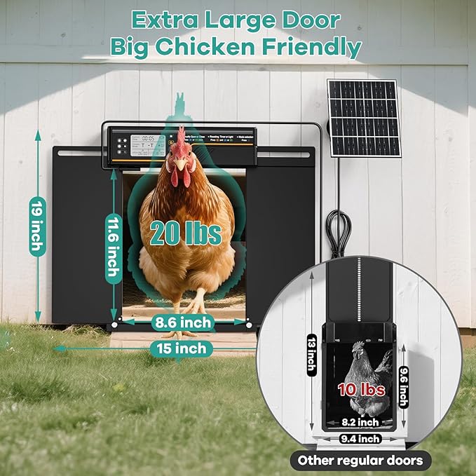 Large Automatic Chicken Coop Door Solar Powered, 4Modes Aluminum Horizontally Dual-Door Design with Timer & Light Sensor, Auto Chicken Door with Remote Control, Excellent Anti-Pinch & Easy to Program
