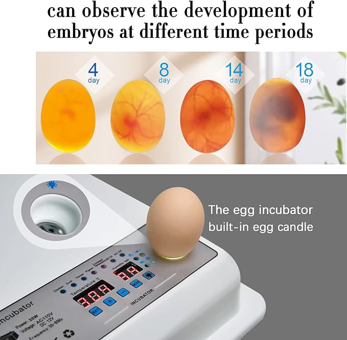 Incubators for Hatching Eggs, Egg Incubator with Automatic Egg Turning and Humidity Control, Egg Incubator for Chicken Quail Duck Pigeon Eggs(36 Eggs)