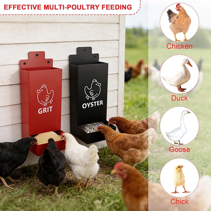 2 Pack Chicken Oyster Shell Feeder and Grit Feeder,1mm Thickness Metal Chicken Feeders for Hens and Chicks Wall Mounted, No Waste, Heavy Duty Poultry Supplies for Backyard Chickens, Ducks, Geese
