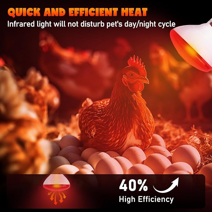 LUCKY HERP Heat Lamp Bulbs for Chickens, 150W Infrared Heat Lamp 1 Pack, Red Heat Lamp Bulbs for Reptiles, Pets, Brooder Coop and Poultry