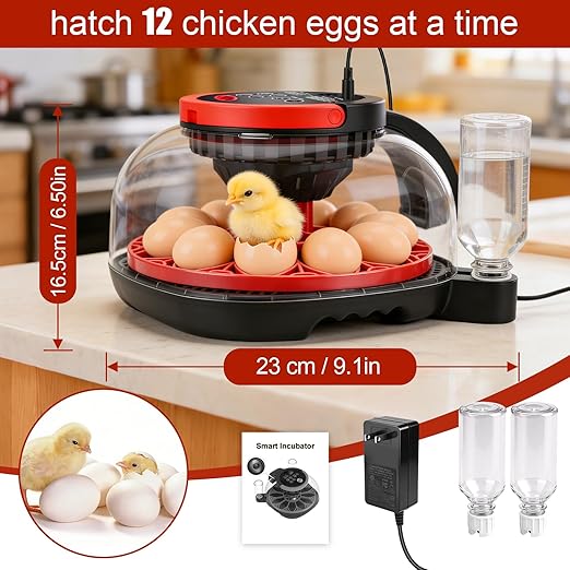 Chicken Incubators for Hatching Eggs, 12 Eggs WiFi Smart Incubator with 1080P Camera | App Control | Temperature & Humidity Control | Automatic Egg Turner | Egg Candler for Chicken, Duck, Quail