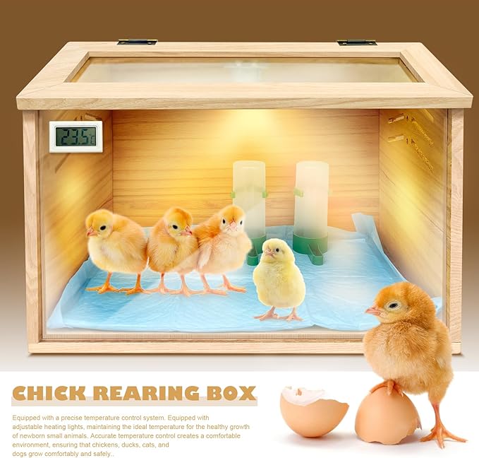 Chicken Brooder Box for Chicks & Quail with 3 Absorbent Pads, Feeder and Waterer - Adjustable Temperature Control Brooding Box for Small Chicken Coop & Quail Cage (15.7x12x12 Inches) ﻿