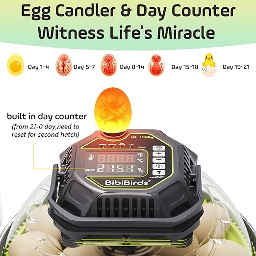 Egg Incubator with Automatic Egg Turning and Humidity Control,Egg Turner Auto Stop,Built in Day Counter,Egg Candler,Humidifier,18 Egg,Quail Parrot Chicken Duck Goose Hatch At Home