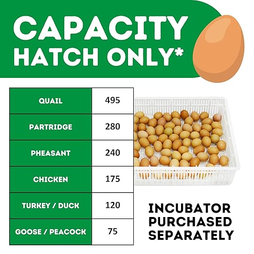 Incubators for Hatching Eggs – HB175H Egg Incubator Hatcher, Automatic & Self-Regulated Temperature & Humidity, Chicken Egg Incubator, Professional Cabinet Poultry Incubator by Cimuka
