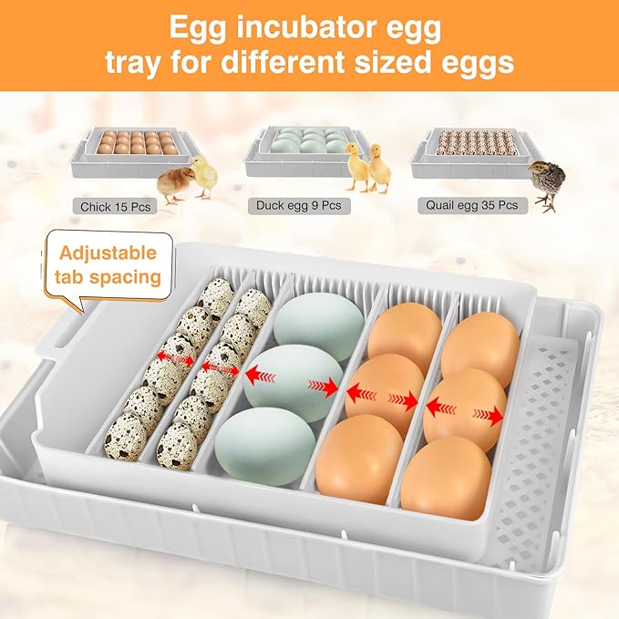 Incubators for Hatching Eggs 15-35 Eggs Incubator with Automatic Egg Turning and ℉Temperature Display LED Egg Candler Poultry Incubator for Hatching Chicken Duck and Quail Egg Incubator (Blue)