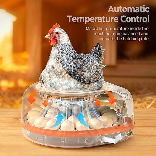 HOWOOlUA 56 Egg Incubator for Hatching Eggs with Auto Turn, Temp & Humidity Control, Built-in Candler Large Capacity Egg Incubator for Chicken Duck Goose Eggs (26-Orange)