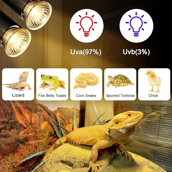 4-Pack 25W UVA Bulbs, Fit E26 Heat Reptile Lamp, Light Turtle Heat Lamp for Reptiles and Amphibian Tanks, Terrariums and Cages, Works with Various Lamp Fixtures