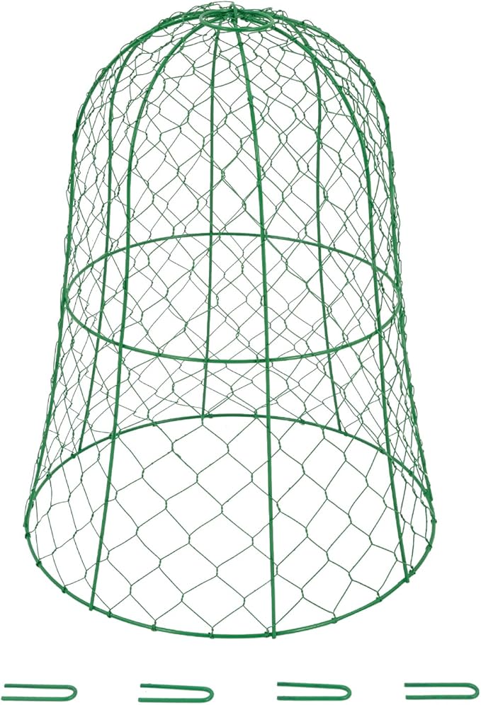 YIYIBYUS Garden Chicken Wire Cloche, 12.99" Diameter x 15.75" Height Plant Protective Covers Metal Cage Plant Protector Cover for Gardens, Parks, Yards, Balconies, Farms (5pcs, Green)