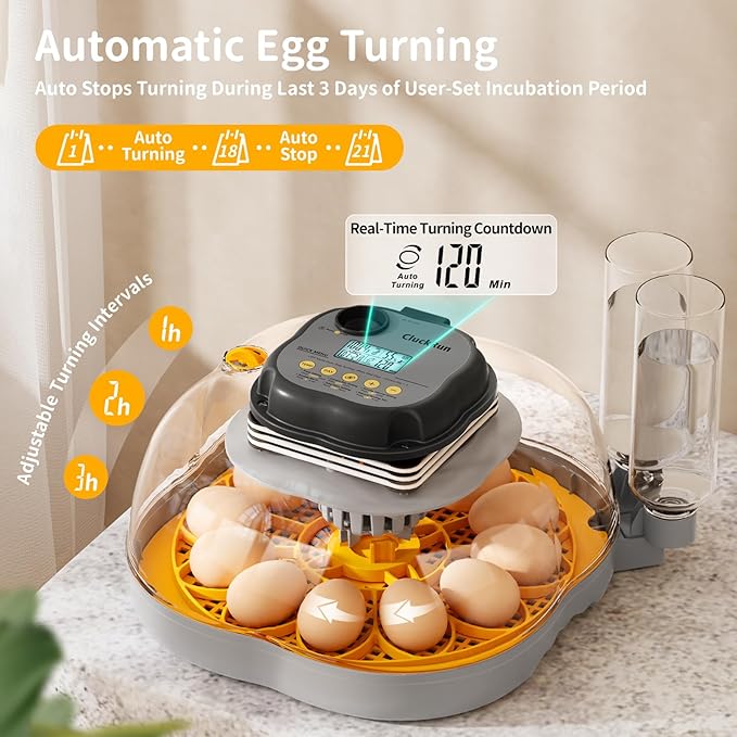 Chicken & Quail Egg Incubator, Dual Egg Trays, Automatic Egg Turning with Auto Stop, Humidity Control, Adjustable Incubation Day & Period, Automatic Water Refill, Egg Candler, Air Vent, Clear View