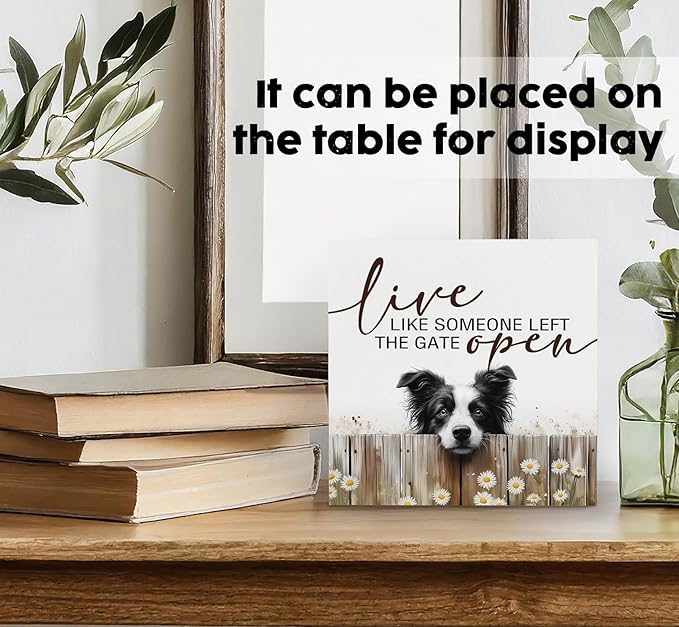 Border Collie Signs - Farm Cottagecore Animal Office Kitchen Bedroom Decor,Rustic Farmhouse Live like Someone Left the Gate Open Home Decor Wooden Signs,Border Collie Gifts for Women,8x8