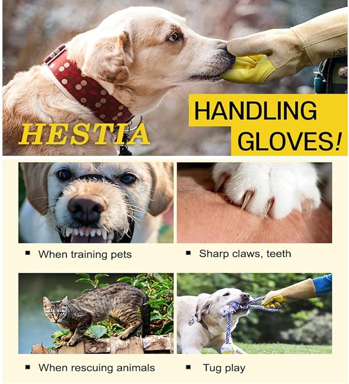 LENITH Animal Handling Gloves Bite Proof, Multi-purpose Pet Glove for Grabbing Reptile, Grooming, Trips to Vet Cat Dog Bird Falcon Livestock Snake Large