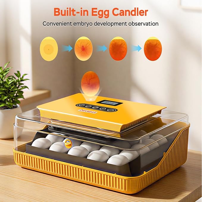 25 Eggs Incubator, Incubators for Hatching Eggs, with Automatic Egg Turner and Temperature & Humidity Control, Egg Candler, for Hatching Quail, Chicken, Duck, Goose Eggs
