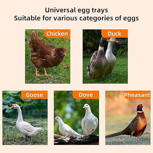 88 Egg Digital Cabinet Incubator，Poultry Hatching Breeding Cabinet Incubator for Auto Egg Turning, Temp/Humidity Control, Thermostatic for Chicken/Duck/Goose/Quail Bird.