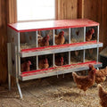 Wall-Mountable Galvanized Steel Chicken Nesting Boxes, 6/8Hole Metal Laying Box with Ventilated Design, Roll Away Egg Collection Tray, Weatherproof Hen Roosting Boxes for Coop