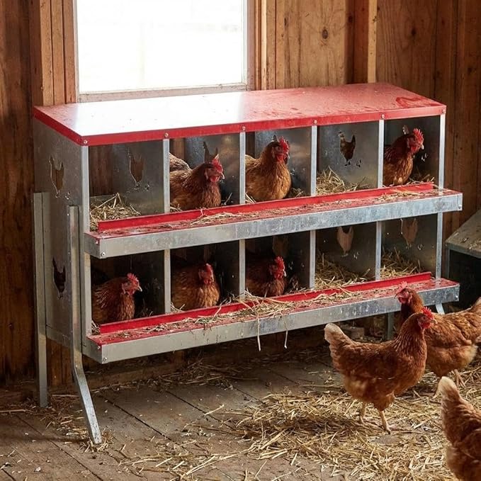 Wall-Mountable Galvanized Steel Chicken Nesting Boxes, 6/8Hole Metal Laying Box with Ventilated Design, Roll Away Egg Collection Tray, Weatherproof Hen Roosting Boxes for Coop