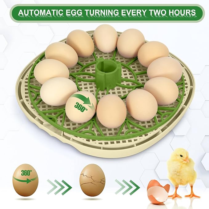 Smart Chicken Incubators for Hatching Eggs with Automatic Turner Small Poultry Duck Quail 12 Egg Incubator Temperature Control Display Hatcher Machine (Chirvy)