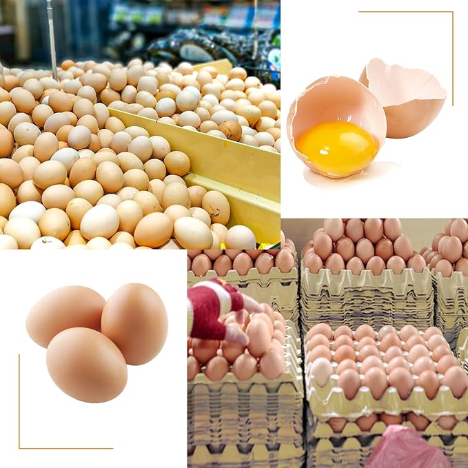 20 Flats 30-Cell Egg Crate, Sturdy and Stackable, Holds 30 Eggs, Multipurpose Use