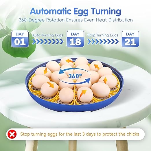 Egg incubators for Hatching Eggs, Automatic Egg Turning 12-24 Poultry Incubator with Temperature Control,Automatic Water Adding,℉ Display,360° View for Hatching Chickens, Duck,Quail,Goose Eggs (M18H)