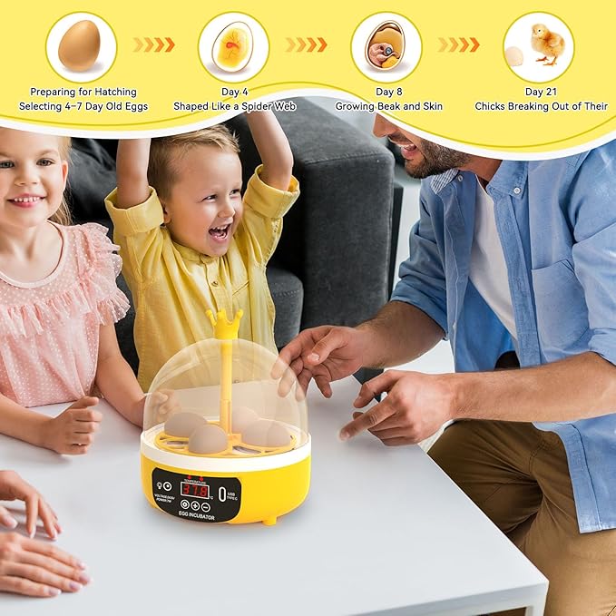 Mini Egg Incubator, 4 Egg Incubator Household Hatching Machine Automatic Temperature Humidity Control for Farm, Classroom, Home Use (Auto Turning)
