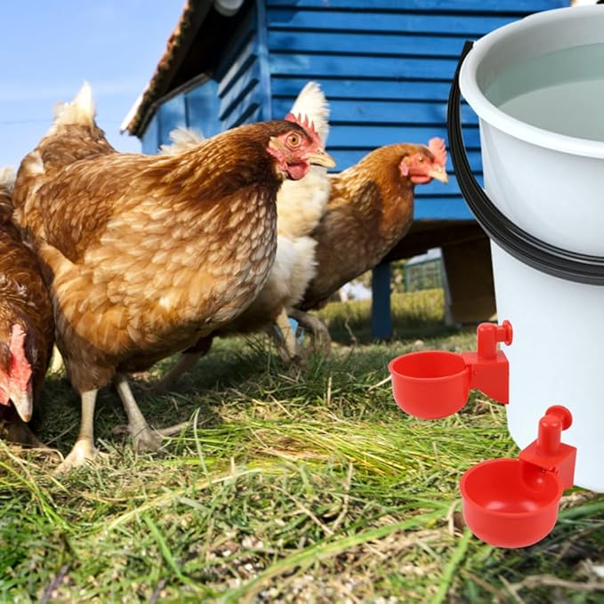 6 Pack Large Automatic Poultry Waterer Cups with Mounting Hole Opener, Plastic Chicken Water Feeder Bowls Kit for Chicks, Duck, Goose, Turkey and Bunny