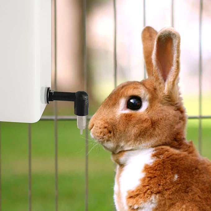 4pcs Stainless Steel Chicken, Quail, Duck, Rabbit Water Nipples