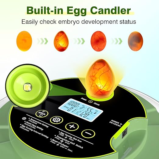 18 Egg Incubators for Hatching Eggs, Egg Incubator with Temperature Control, Humidity Display, Auto Egg Turner, Egg Candler, 2 Size Egg Trays, Digital Incubator for Chicken, Duck, Quail Eggs