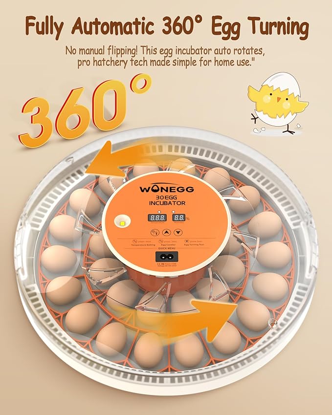 Incubator for Hatching Eggs, 30 Eggs Incubator with Automatic Egg Turning, Temperature Control & Humidity Display, LED Egg Candler, for Chicken, Quail, Parrot Eggs