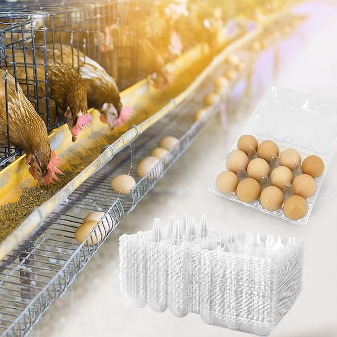 Farm Fresh Plastic Egg Cartons - 50 Pieces Tray for Chicken Eggs - Holds 12 Eggs - Perfect for Farm Markets and Home Refrigerators