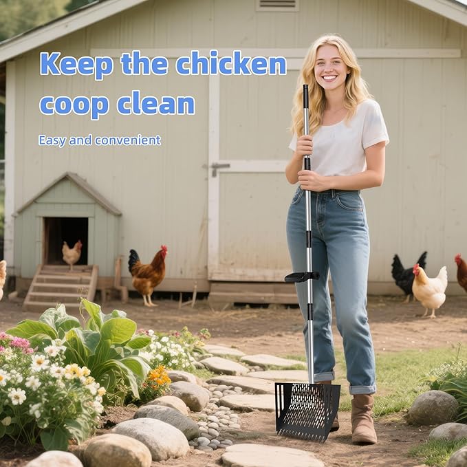 Chicken Poop Scooper & Rake 2-in-1, 4 in 1 Stainless Steel Handle 12 in Chicken Coop Pooper Shovel (23 to 62"), for Animal Sheds, Trash Scoop with Ergonomic Handle, Scooper Sand Sifting Shovel