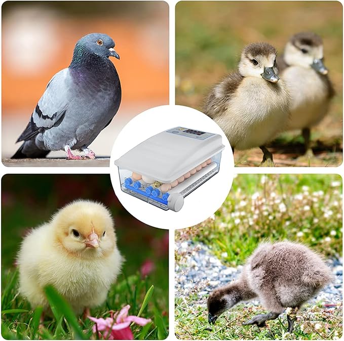 Egg Incubator Chicken Incubators for Hatching Eggs with Automatic Temperature and Humidity Control, Chick Brooder, Incubator Box Kit,36Eggs,24Eggs